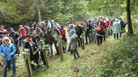 Walderwanderung 2010